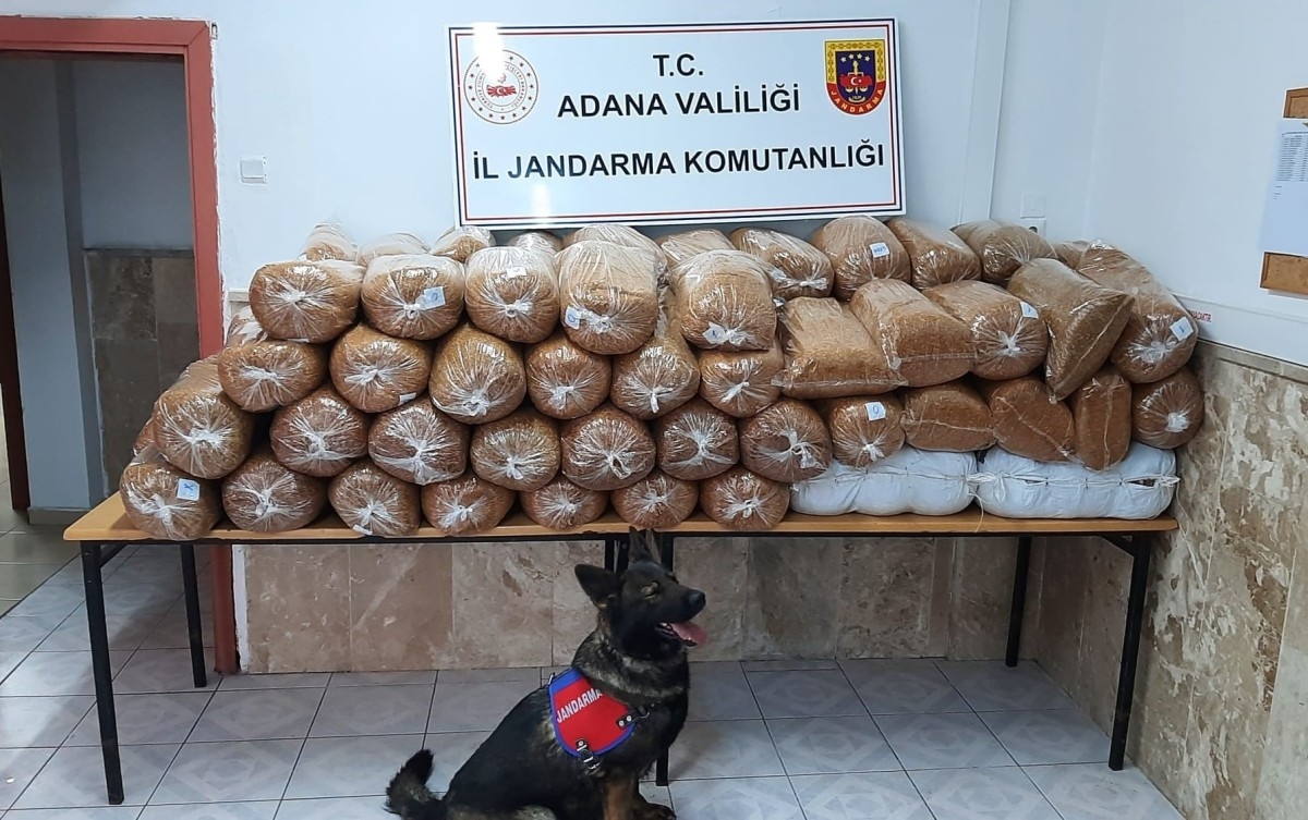 Jandarma tarafından 925 kilogram kıyılmış tütüne el konuldu