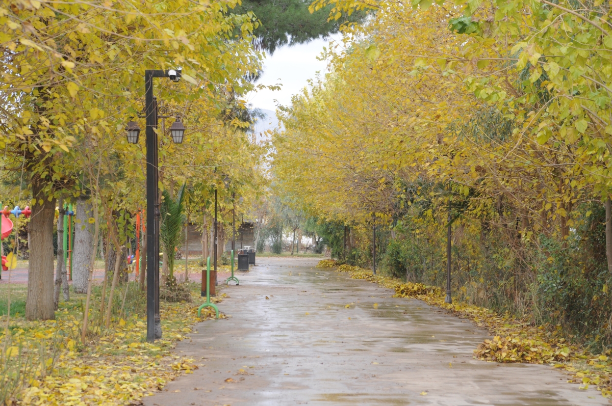 Sonbahar Dicle Nehri kenarını renk cümbüşüne çevirdi