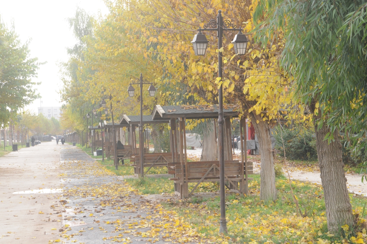 Sonbahar Dicle Nehri kenarını renk cümbüşüne çevirdi