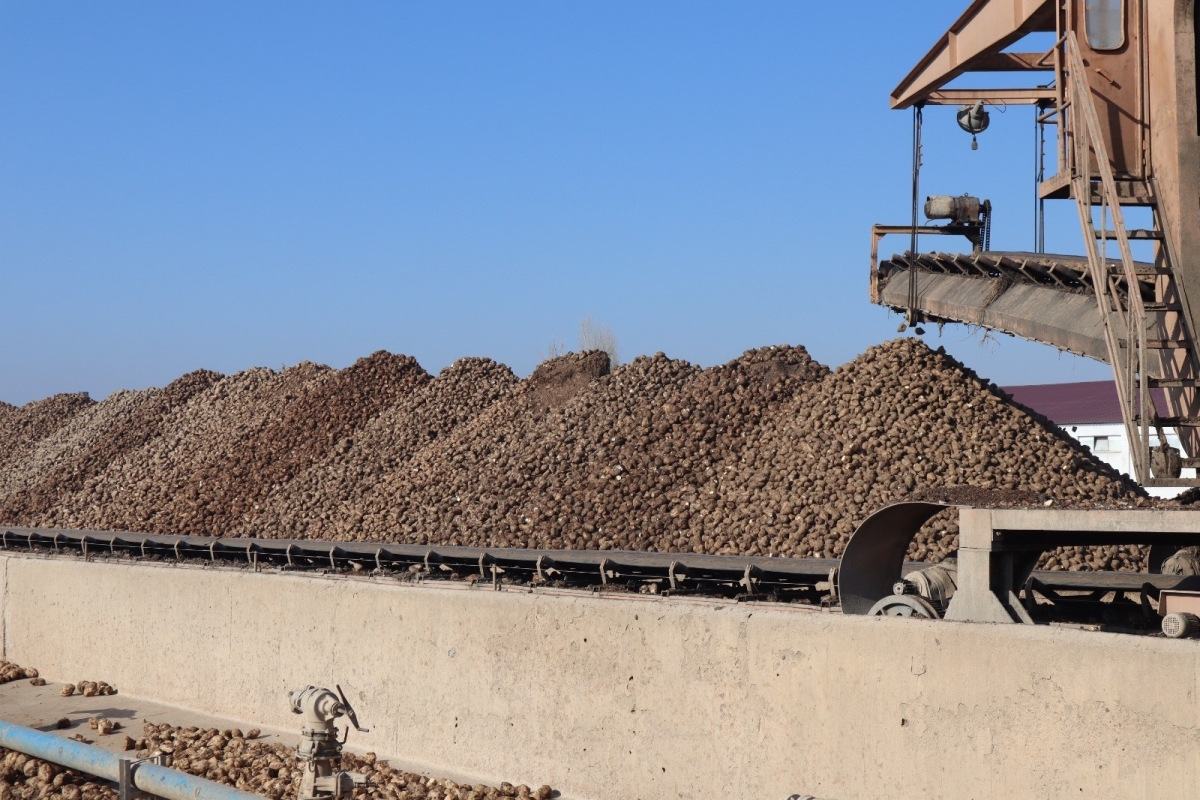 Malatya Şeker Fabrikası’nda bu yıl hedef 65 bin ton şeker üretimi 