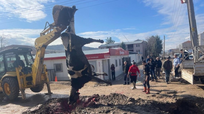 Banka müdürünün tayini çıktı sevinçten kurban kestiler 