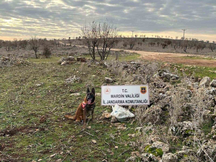 Jandarmanın dikkati hain tuzağı bozdu