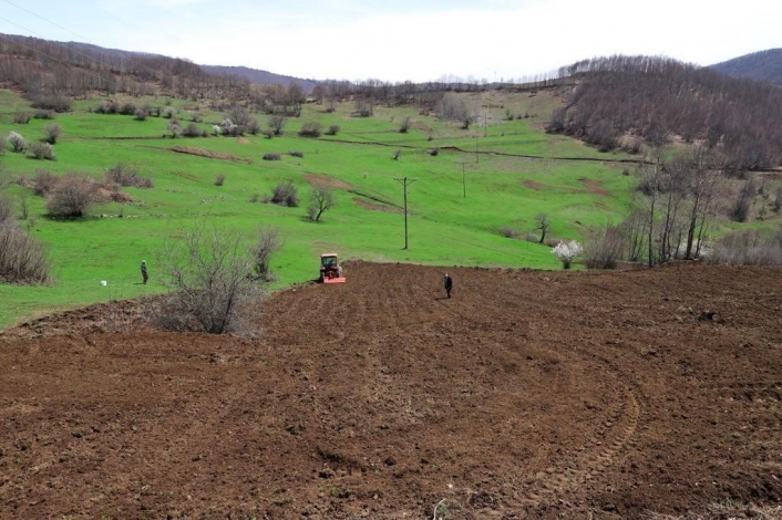 Tarımda Ordu Modeli