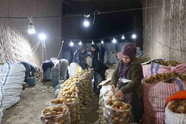 Türkiyenin patates ihtiyacı Kapadokyadaki depolardan karşılanıyor